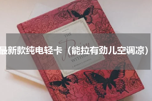 最新款纯电轻卡（能拉有劲儿空调凉）