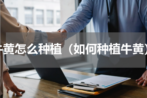 牛黄怎么种植（如何种植牛黄）