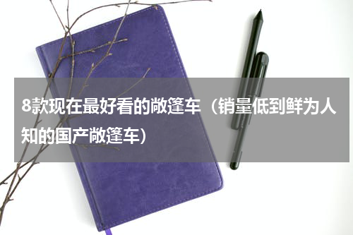 8款现在最好看的敞篷车（销量低到鲜为人知的国产敞篷车）