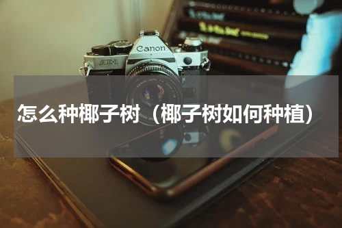 怎么种椰子树（椰子树如何种植）