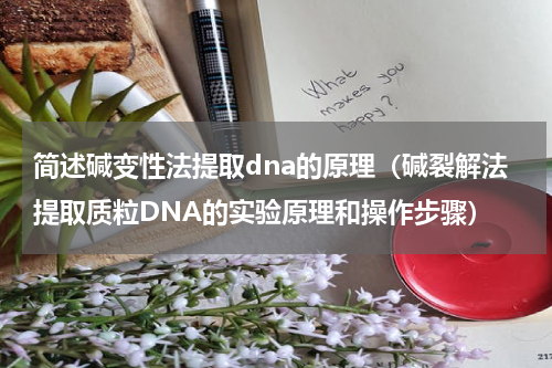 简述碱变性法提取dna的原理（碱裂解法提取质粒DNA的实验原理和操作步骤）
