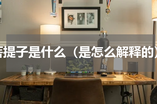 菩提子是什么（是怎么解释的）