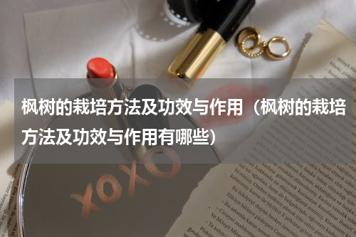 枫树的栽培方法及功效与作用（枫树的栽培方法及功效与作用有哪些）