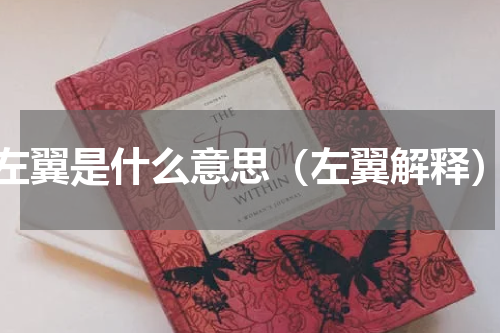 左翼是什么意思（左翼解释）