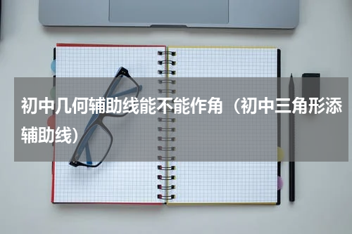 初中几何辅助线能不能作角（初中三角形添辅助线）