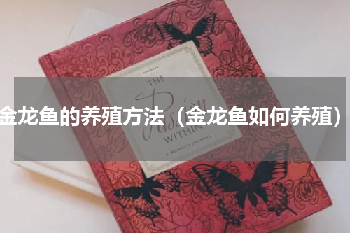 金龙鱼的养殖方法（金龙鱼如何养殖）