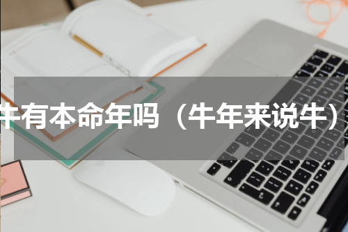 牛有本命年吗（牛年来说牛）