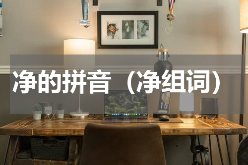 净的拼音（净组词）