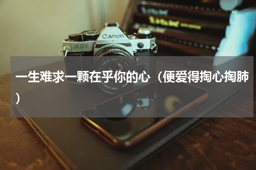 一生难求一颗在乎你的心（便爱得掏心掏肺）