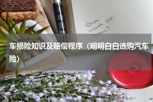 车损险知识及赔偿程序（明明白白选购汽车险）