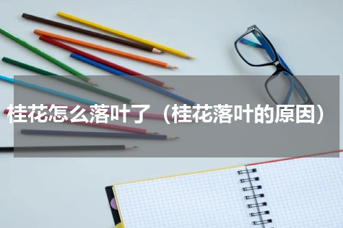桂花怎么落叶了（桂花落叶的原因）