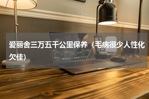 爱丽舍三万五千公里保养（毛病很少人性化欠佳）