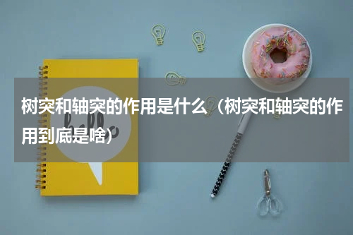 树突和轴突的作用是什么（树突和轴突的作用到底是啥）