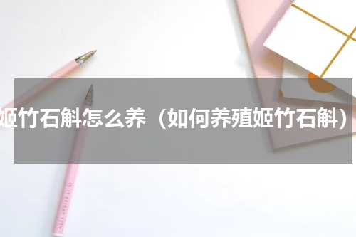 姬竹石斛怎么养（如何养殖姬竹石斛）
