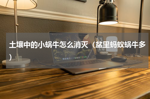土壤中的小蜗牛怎么消灭（盆里蚂蚁蜗牛多）
