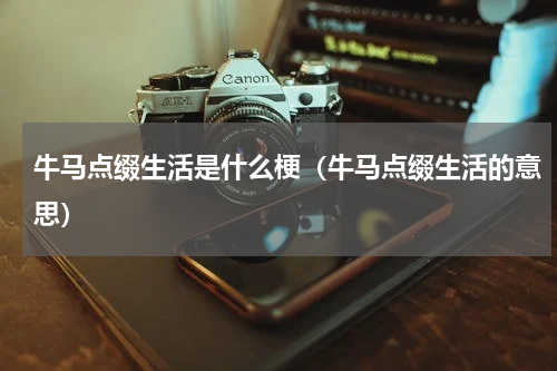 牛马点缀生活是什么梗（牛马点缀生活的意思）