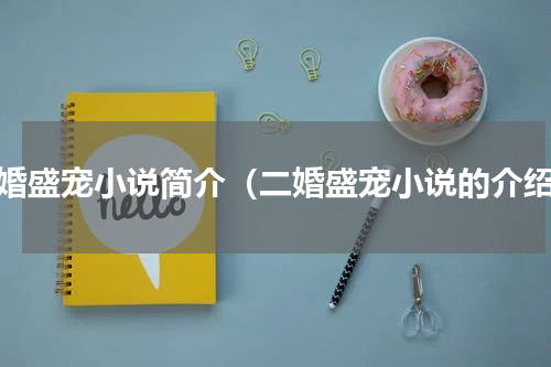 二婚盛宠小说简介（二婚盛宠小说的介绍）