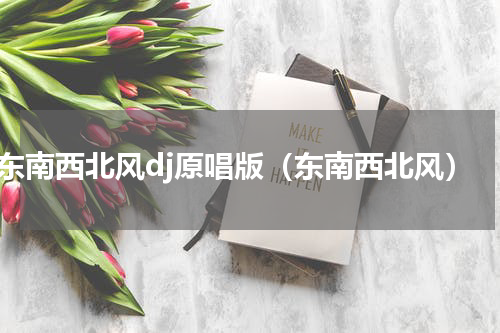 东南西北风dj原唱版（东南西北风）