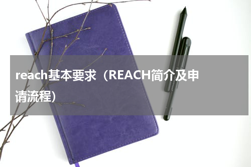 reach基本要求（REACH简介及申请流程）