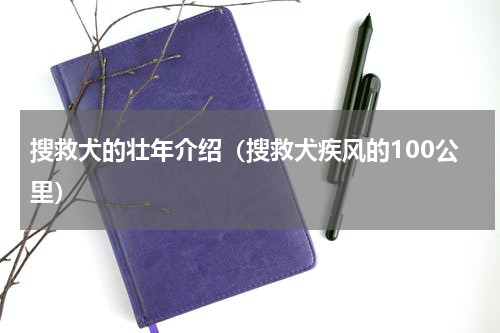 搜救犬的壮年介绍（搜救犬疾风的100公里）
