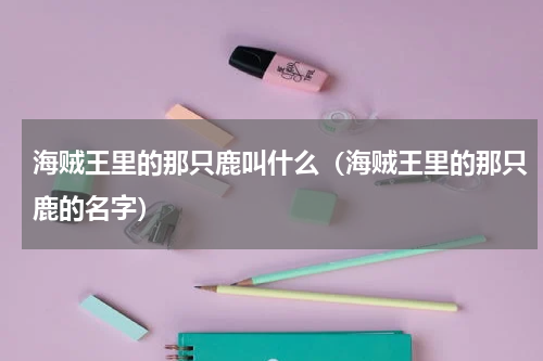 海贼王里的那只鹿叫什么（海贼王里的那只鹿的名字）