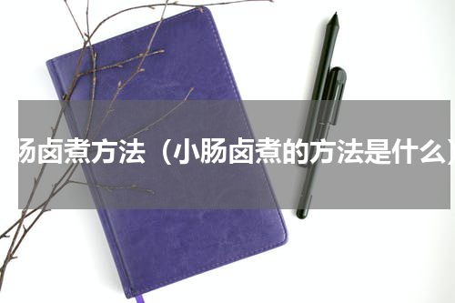 小肠卤煮方法（小肠卤煮的方法是什么）