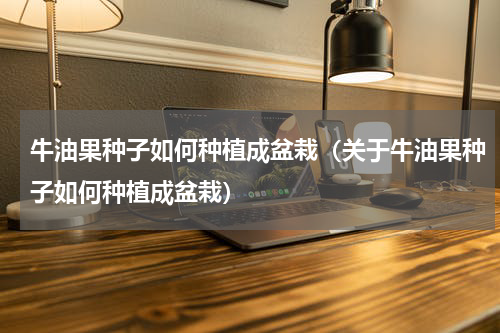 牛油果种子如何种植成盆栽（关于牛油果种子如何种植成盆栽）