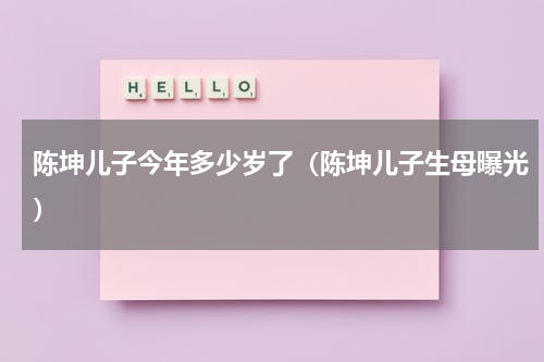 陈坤儿子今年多少岁了（陈坤儿子生母曝光）