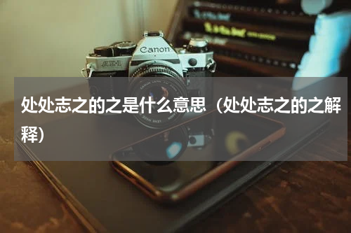 处处志之的之是什么意思（处处志之的之解释）