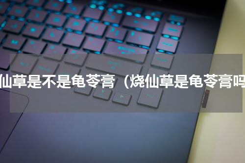 烧仙草是不是龟苓膏（烧仙草是龟苓膏吗）