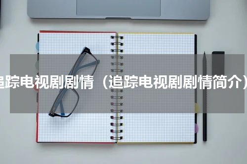 追踪电视剧剧情（追踪电视剧剧情简介）
