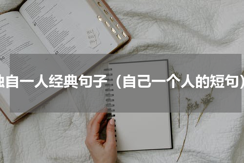 独自一人经典句子（自己一个人的短句）