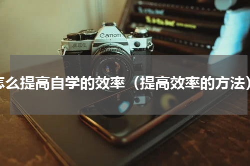 怎么提高自学的效率（提高效率的方法）