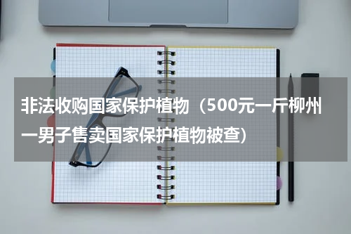 非法收购国家保护植物（500元一斤柳州一男子售卖国家保护植物被查）