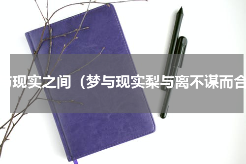 梦与现实之间（梦与现实梨与离不谋而合）