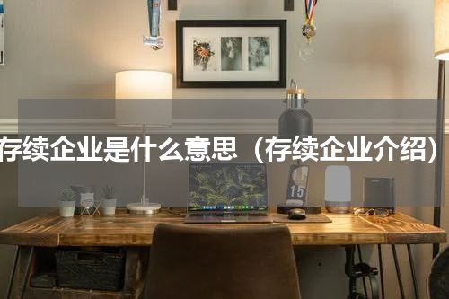 存续企业是什么意思（存续企业介绍）