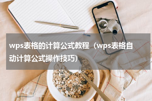 wps表格的计算公式教程（wps表格自动计算公式操作技巧）