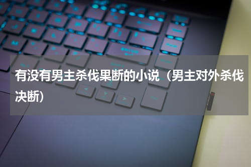 有没有男主杀伐果断的小说（男主对外杀伐决断）
