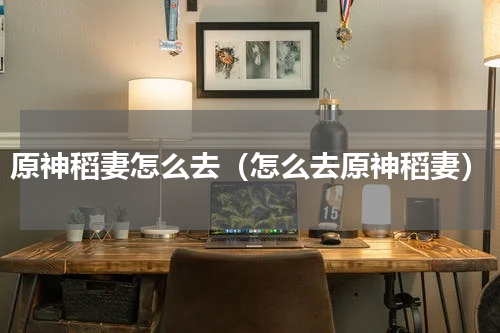 原神稻妻怎么去（怎么去原神稻妻）