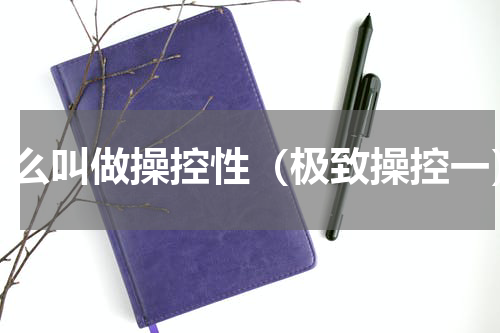 什么叫做操控性（极致操控一）