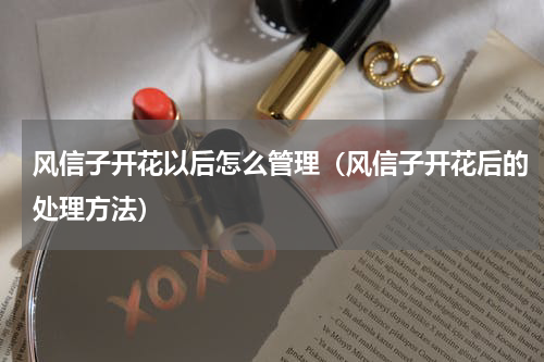 风信子开花以后怎么管理（风信子开花后的处理方法）