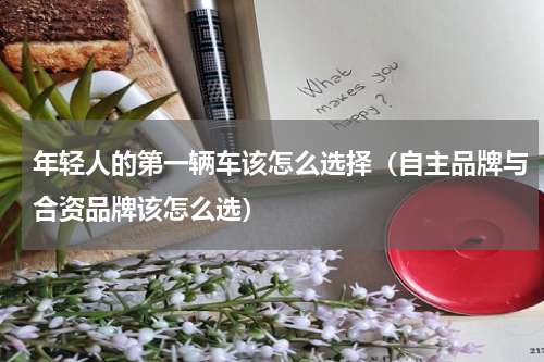 年轻人的第一辆车该怎么选择（自主品牌与合资品牌该怎么选）