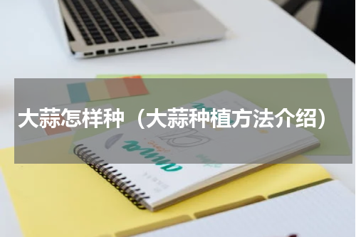 大蒜怎样种（大蒜种植方法介绍）