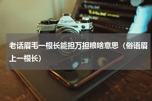 老话眉毛一根长能担万担粮啥意思（俗语眉上一根长）