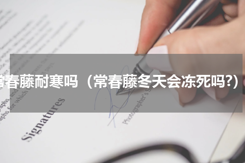 常春藤耐寒吗（常春藤冬天会冻死吗?）