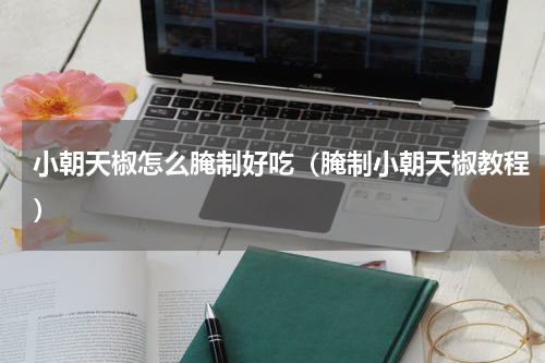 小朝天椒怎么腌制好吃（腌制小朝天椒教程）