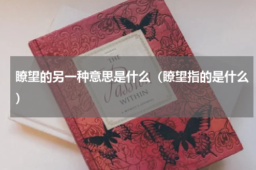 瞭望的另一种意思是什么（瞭望指的是什么）