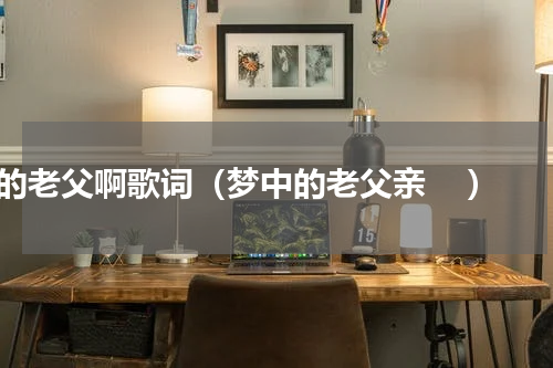 我的老父啊歌词（梦中的老父亲    ）