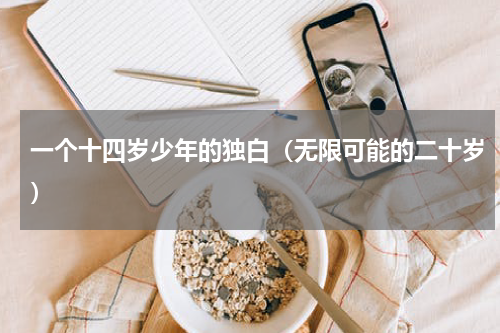 一个十四岁少年的独白（无限可能的二十岁）