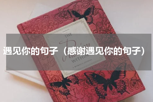 遇见你的句子（感谢遇见你的句子）